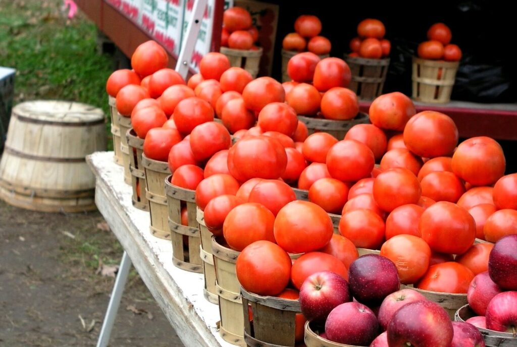 Collabora con i fornitori locali e approvvigionati di ingredienti freschi